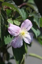 CLMTETRA_20260717134052.JPG