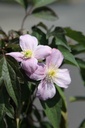 CLMTETRA_20260717134149.JPG
