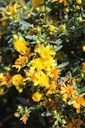 HYKCGOLD_20260714144050.JPG