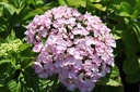 HYMAYESH_20260714143234.JPG