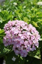 HYMAYESH_20260714143238.JPG