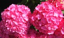 HYMESSLO_20260714141546.JPG