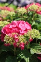 HYMESSLO_20260714141558.JPG