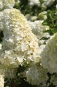 HYPPBEAR_20260714140146.JPG