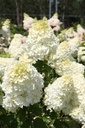 HYPPBEAR_20260714140220.JPG