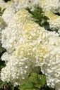 HYPPBEAR_20260714140234.JPG