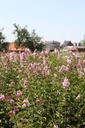 SYMPALIB_20260714134420.JPG