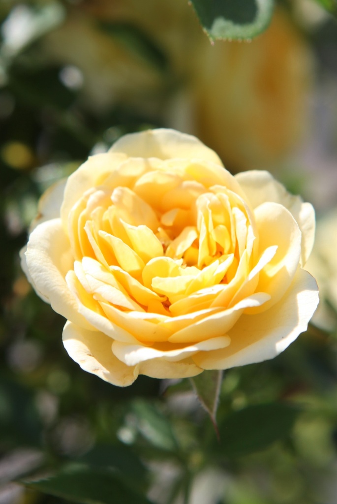 ROLUCKY_20260714132912.JPG