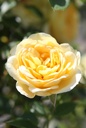 ROLUCKY_20260714132912.JPG