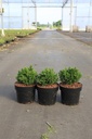 5404008216862_20260716084718.JPG