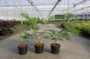 5404008229480_20260716082358.JPG