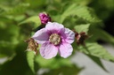 RUODORAT_20260803111234.JPG