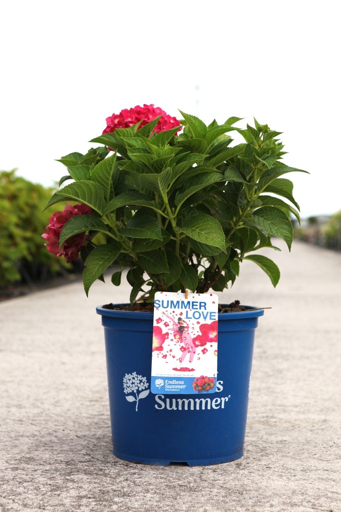 5404008000331_20260805090400.JPG