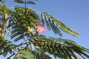 ALJTDREA_20260806094608.JPG