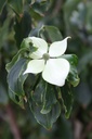COKTEUTO_20260807160030.JPG