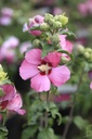 HISWOODB_20260820140830.JPG