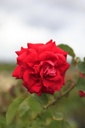 RONWEIBU_20260820141954.JPG