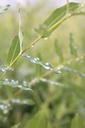 SAIHNISH_20260820091140.JPG