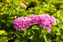 HYMBSEDU_20260901103748.jpg