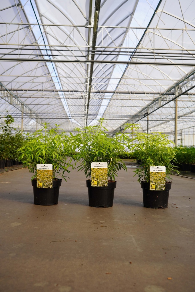 5401192085656_20260902104344.jpg