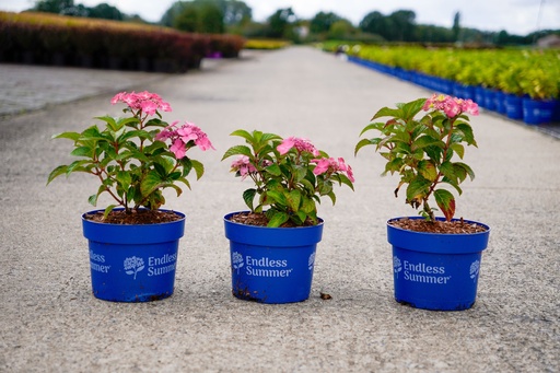 5401192086721_20260909155443.jpg