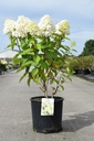 5404008020582_20260915145857.JPG
