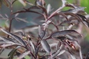 SANBLACE_20260917095021.JPG