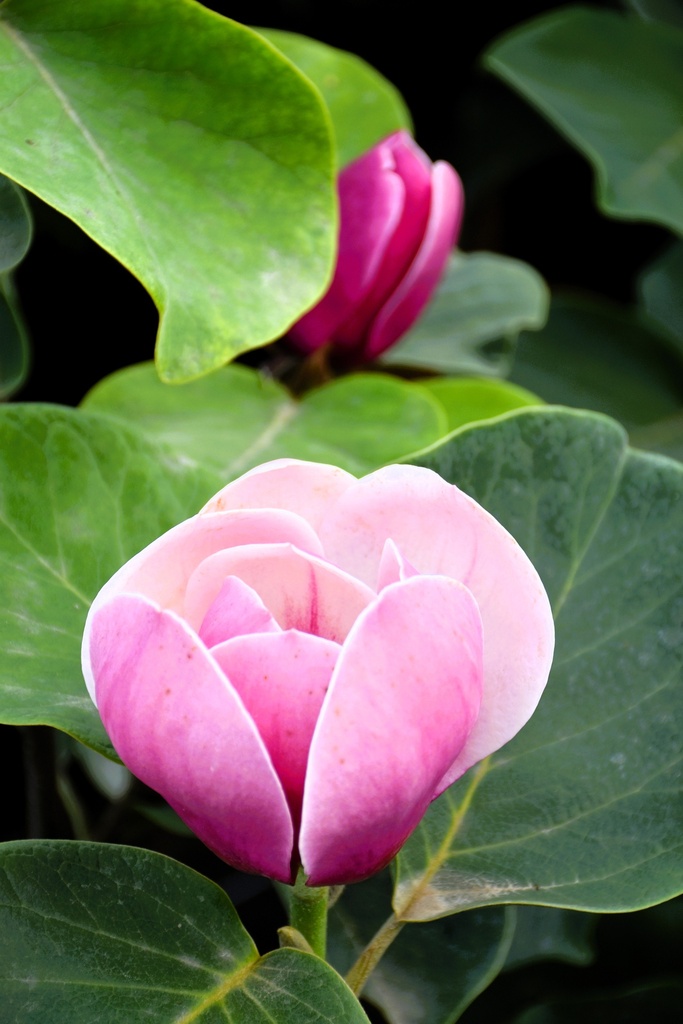 MAVENUS_20260917082601.JPG