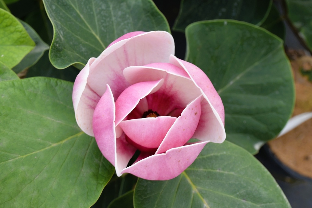 MAVENUS_20260917082634.JPG
