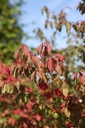 EUALATUS_20260807103100.JPG
