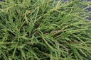CHPFNANA_20160715133118_xlarge.jpeg