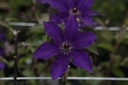 CLPRESID_20190703153922_xlarge.jpeg