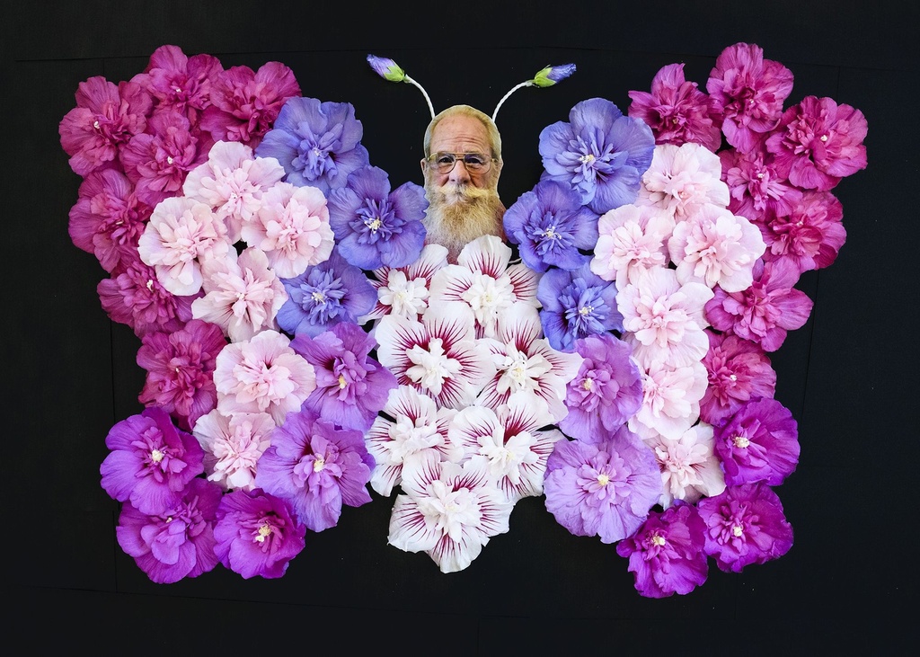HISSCHIF_20160824113608_xlarge.jpeg