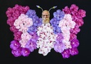 HISSCHIF_20160824113608_xlarge.jpeg