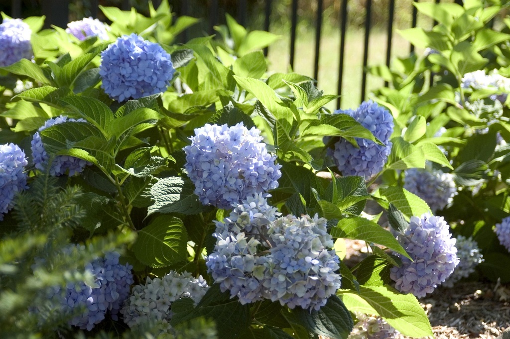 HYMESORI_20150623100850_xlarge.jpeg