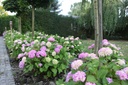 HYMESORI_20110609181728_xlarge.jpeg