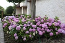 HYMESORI_20110609181547_xlarge.jpeg