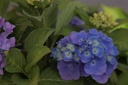 HYMXIAN_20120911161857_xlarge.jpeg