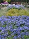 AGSEASTO_20120107164806_xlarge.jpeg