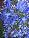 AGSEASTO_20110115163106_xlarge.jpeg