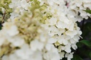 HYPPWINK_20170706160742 3_xlarge.jpeg
