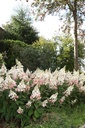 HYPPWINK_20110805100425_xlarge.jpeg