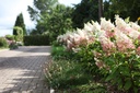 HYPPWINK_20110805095841_xlarge.jpeg