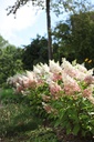 HYPPWINK_20110805095832_xlarge.jpeg