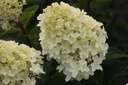 HYPPWINK_20120911165609_xlarge.jpeg
