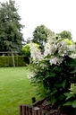 HYPPWINK_20110805085438_xlarge.jpeg