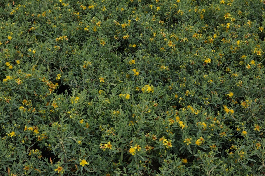 HYKBVELV_20130717154944_xlarge.jpeg