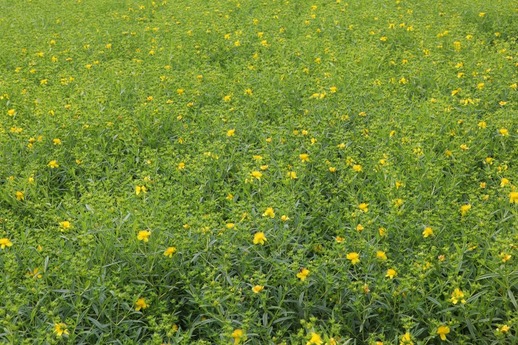 HYKGEMO_20130717154629_xlarge.jpeg