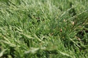 JUHACOMP_20160715131412_xlarge.jpeg