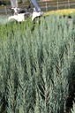 JUSBARRO_20120928152127_xlarge.jpeg